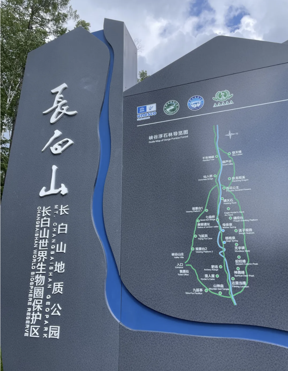 1740125581384 image