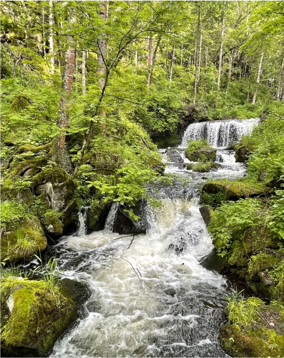 1740125678137 image